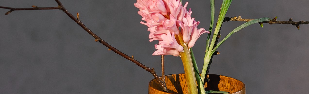 Services supporting staff wellbeing