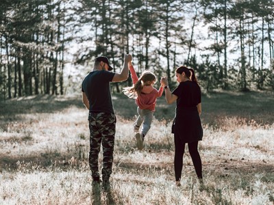 Vulnerability / Exploitation